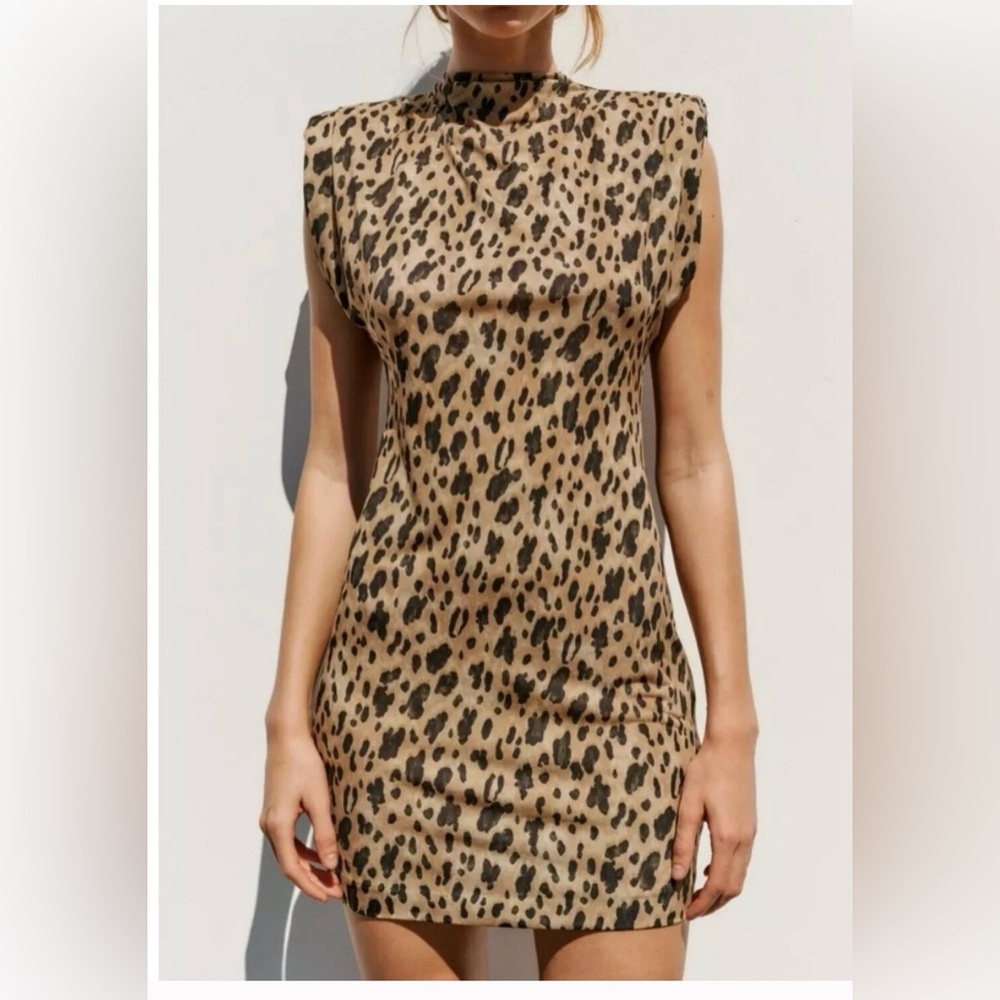 Zara Leopard Print Mini Dress